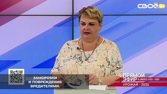 Значительная часть аграриев Ставропольского края ежегодно страхует урожай от основных рисков