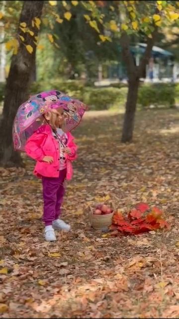 🍂🍂🍂