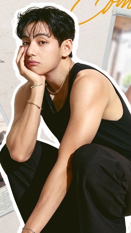 V  bts шикарен