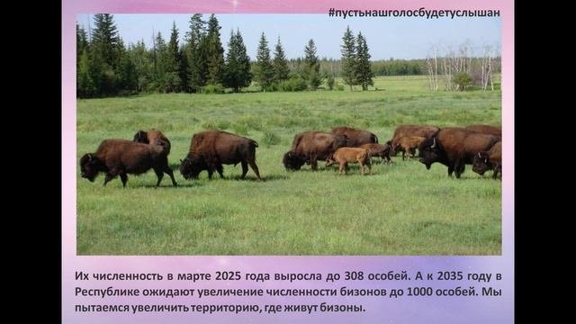Байдам Анисимов  ТОЧКА.РФ  МЕСТО  г. Якутск