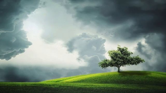 Wetter Geräusche