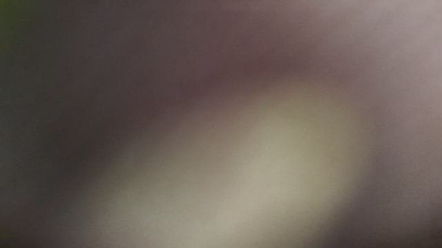 Воспоминания о деревне.Часть четвёртая.30.09.2025г.