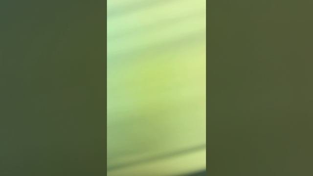 1000019978.mp4