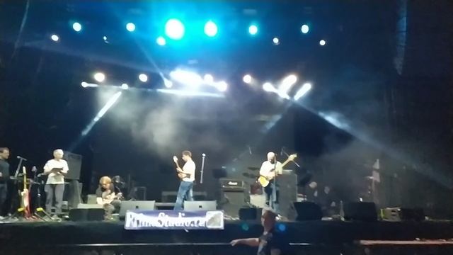 VID_20250329_163950 Чек