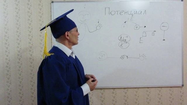 Электрический потенциал движение электрических зарядов и передача нервных импульсов в организме