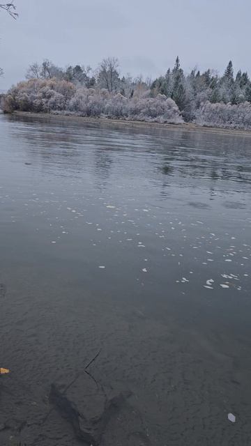 ЕЛЕЦ.