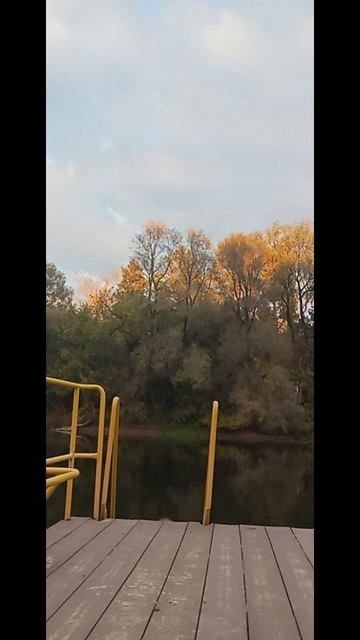 1000025393.mp4