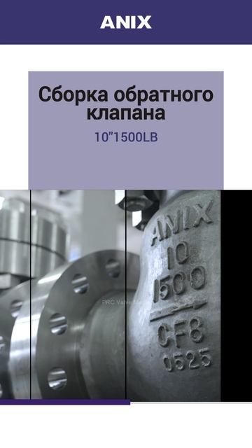 10 '' 1500LB зваротны клапан зборкі ~ Anix