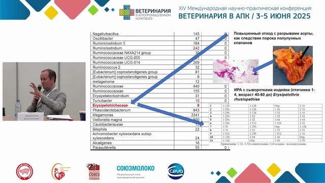 Крохин Н. Л. Обсуждение вопросов мониторинга полевых штаммов вирусов и бактерий на привитом