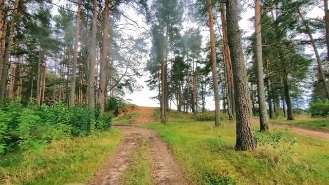 Матвей Мокрушин  ТОЧКА.РФ  МЕСТО  деревня Лентьево