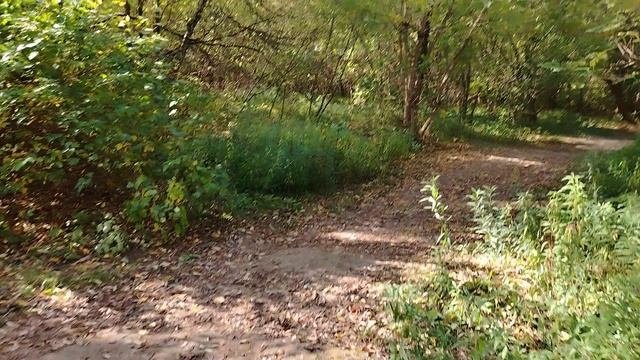 Конец сентября. Этюды осени.