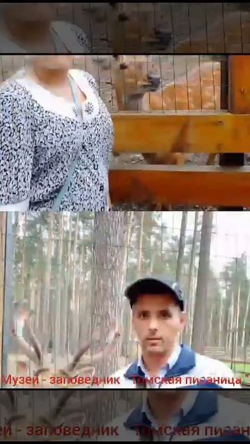 1000093784.mp4