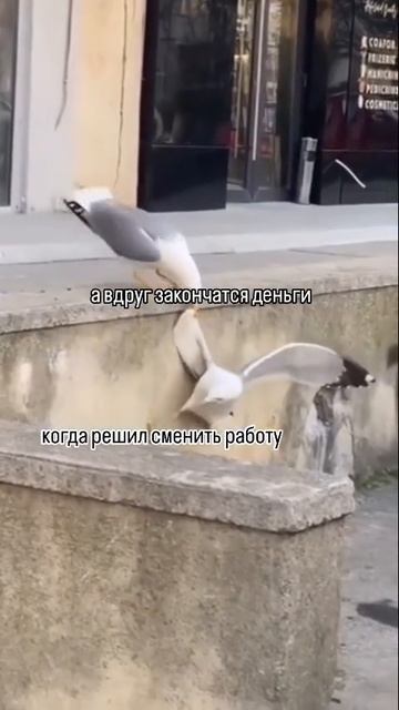 Неизвестность пугает