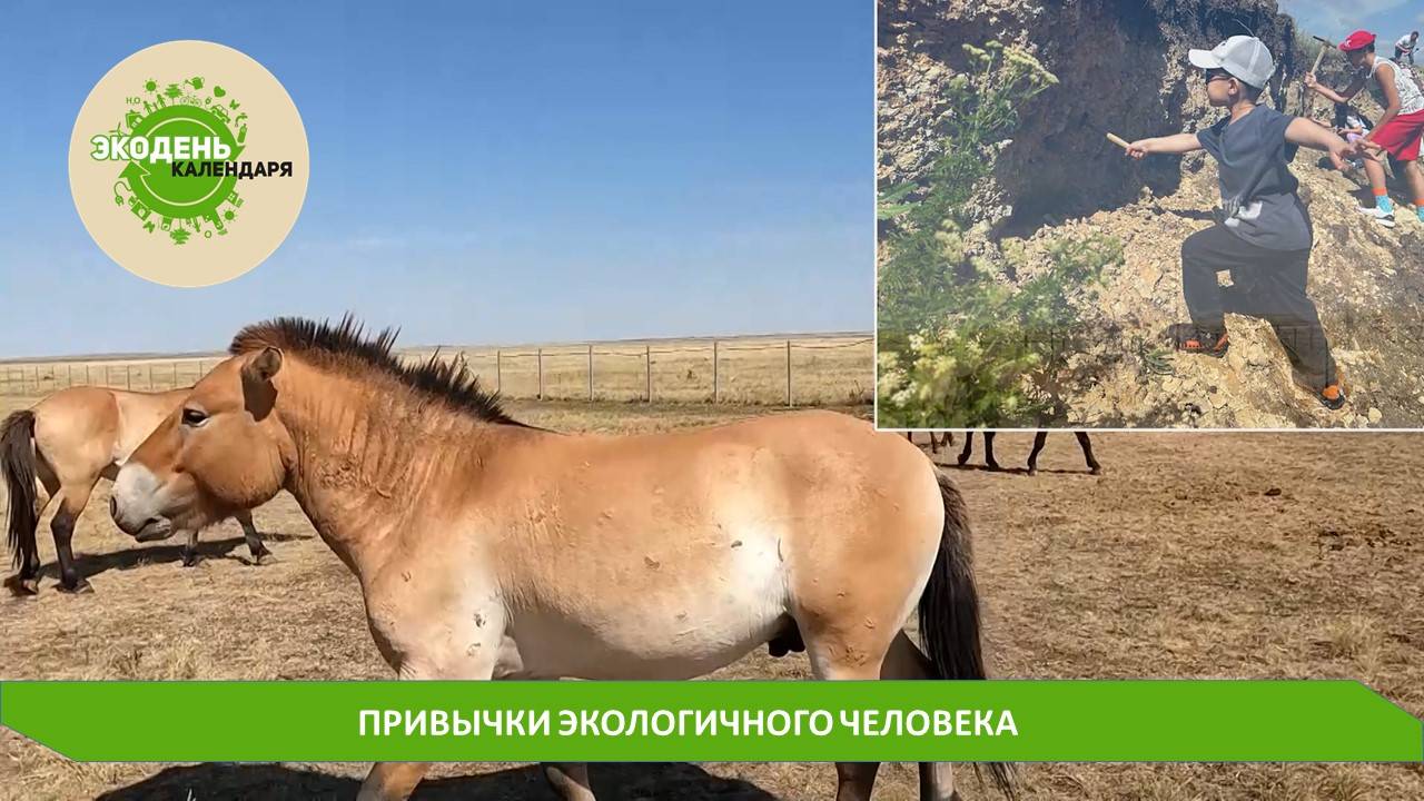 ЭКОДЕНЬ КАЛЕНДАРЯ. ВЫПУСК 9. ВСЕМИРНЫЙ ДЕНЬ ТУРИЗМА