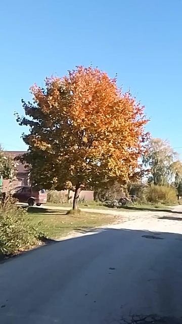 VID_20250930_143917.mp4