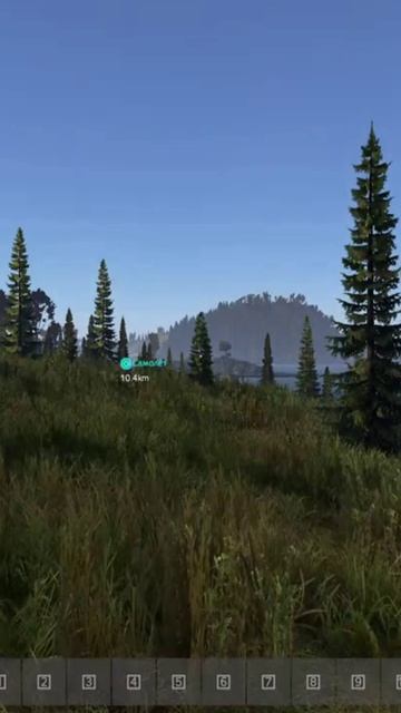 Dayz. Я старпёр (VZL) #shorts