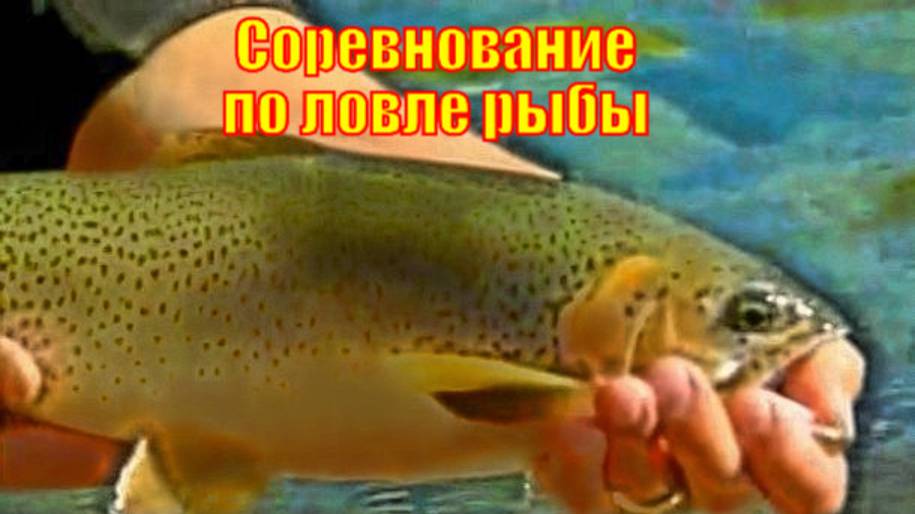 Соревнование по ловле рыбы