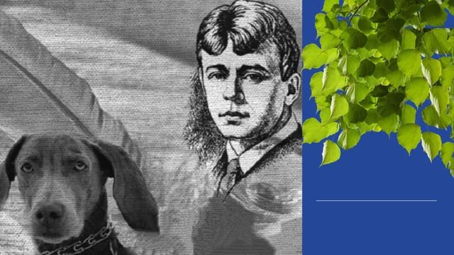 Верш _Сабаку Качалава_. Детская библиотека 6 им. Н.А.Островского