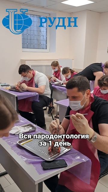 Программа Пластика мягких тканей в Школе имплантологии проф. Иванова С. Ю.