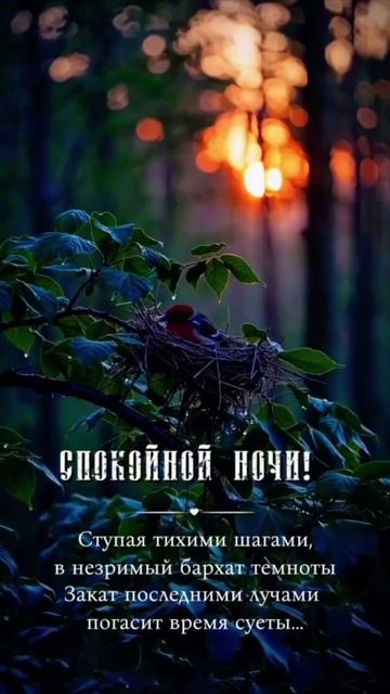 Спокойной ночи