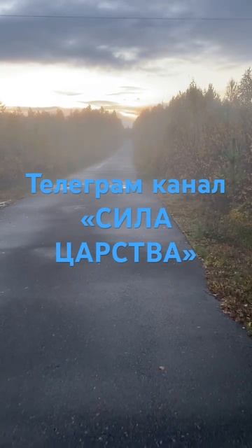 СИЛА