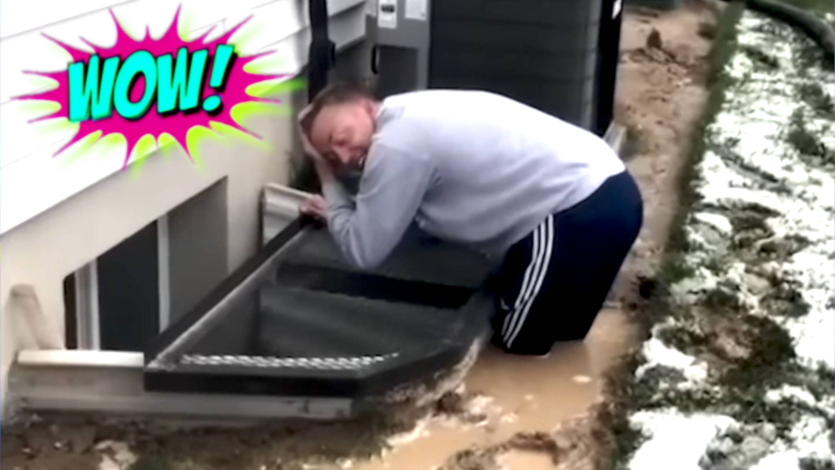 СМЕХ ДО СЛЕЗ: СМЕШНЫЕ ВИДЕО И ПРИКОЛЫ