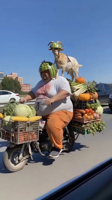 Закрытие дачного сезона.mp4