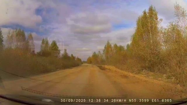едва не снёс  этот дятел
