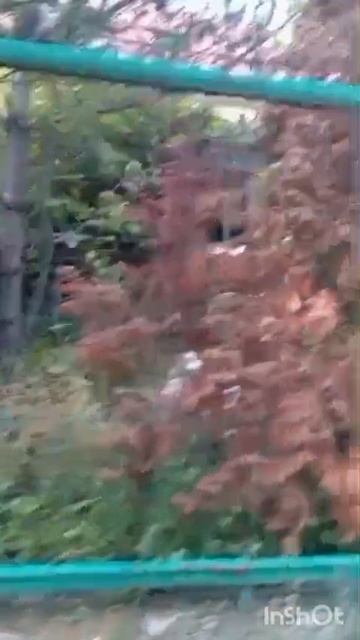 1000317867.mp4