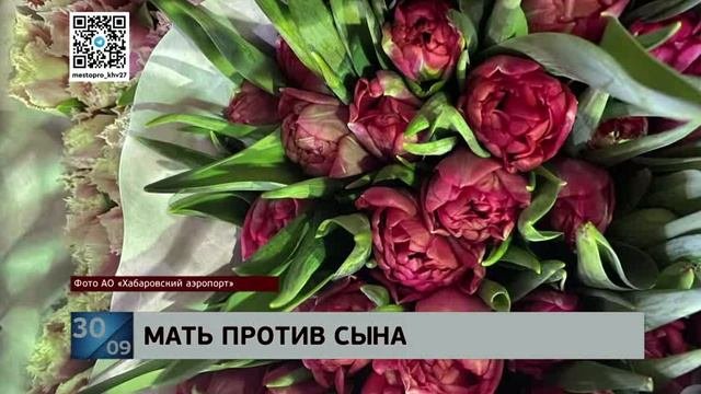 Сыновний долг: по обвинению в хищении более 270 млн у матери сел на скамью подсудимых бизнесмен
