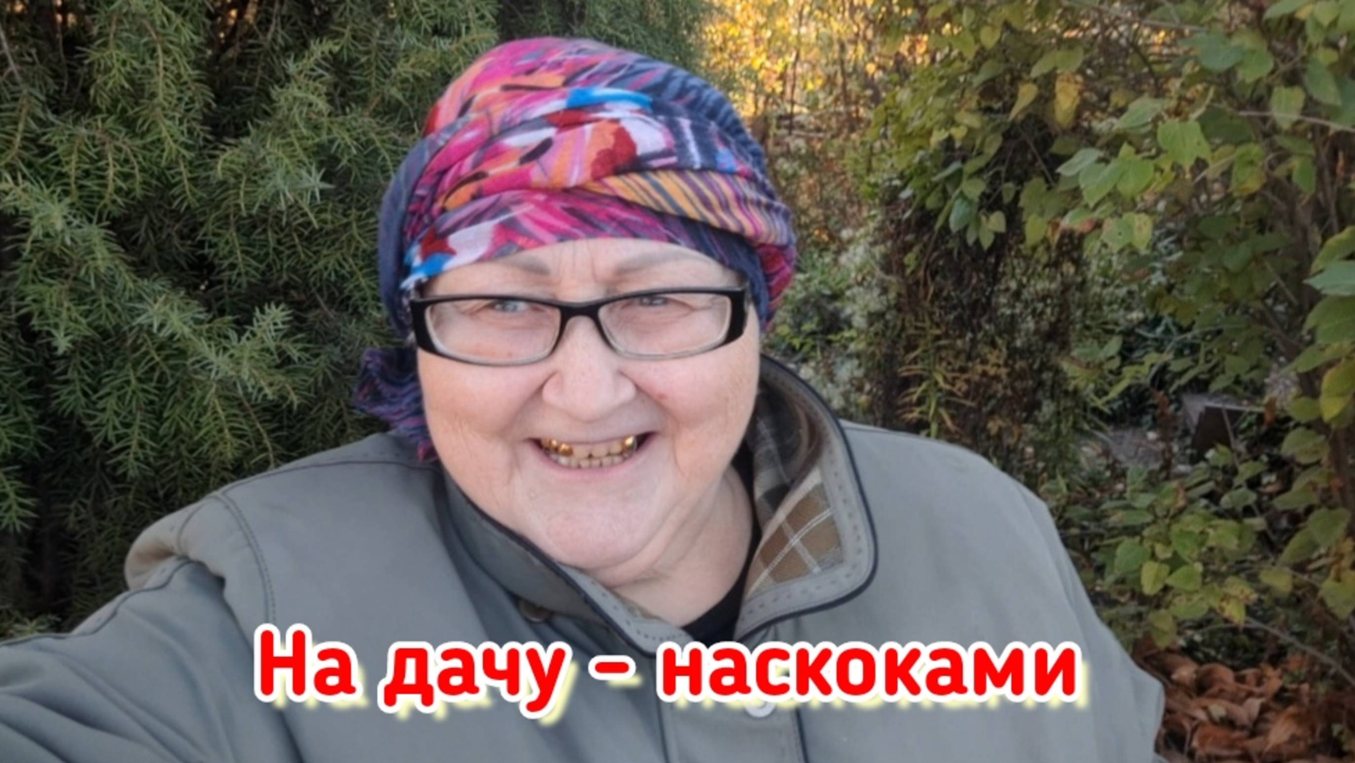 На даче ещё есть работа  Обновки  Кривую  двуногую и мелюзгу - в заморозку  Насолила сала