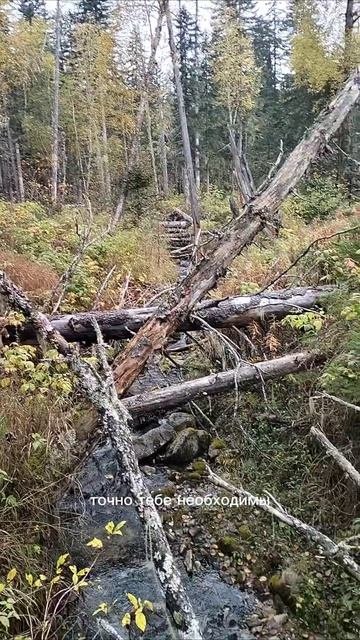 Мотивация.mp4
