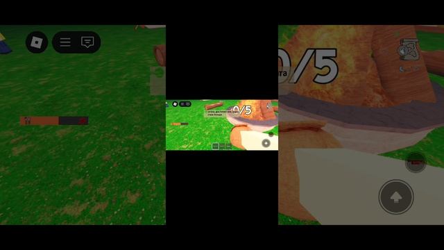 1000008498.mp4
