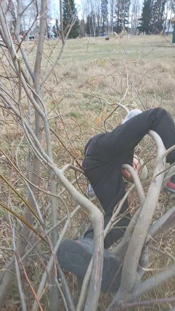 путешествие в туалет