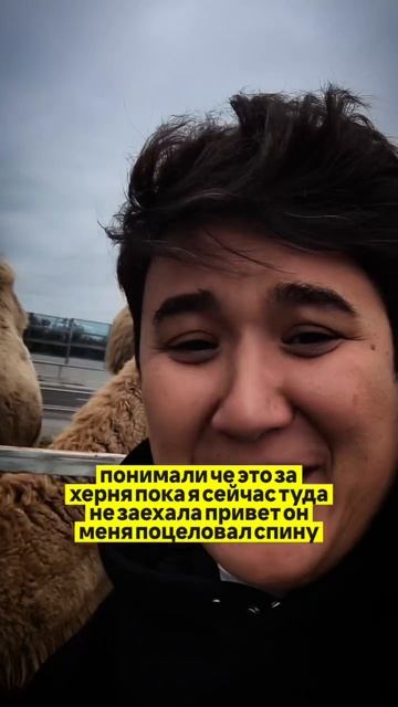 Видео от Раменская LiVE | Бизнес Терапия