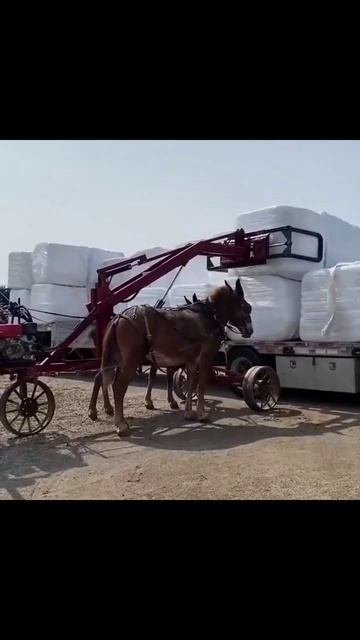Погрузчик на минималках. Надо же до такого додуматься. Подписываемся 