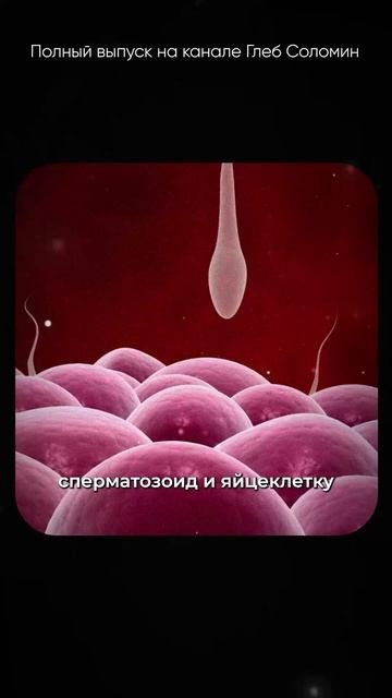 Как определяется пол? ✅ Константин Северинов |Полный выпуск на канале 
