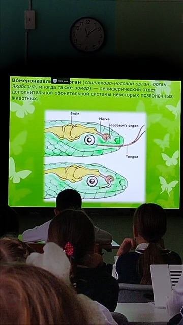 3-Д класс. Научная лекция о змеях
