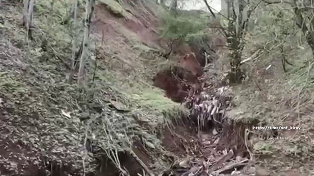 Новости Кирова 29.09.25