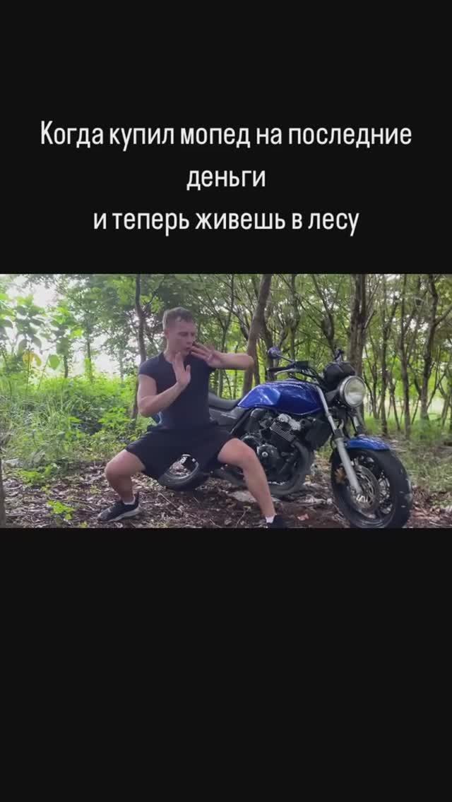 в лесу