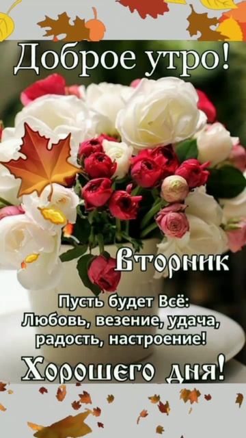 Доброе Утро Вторник!