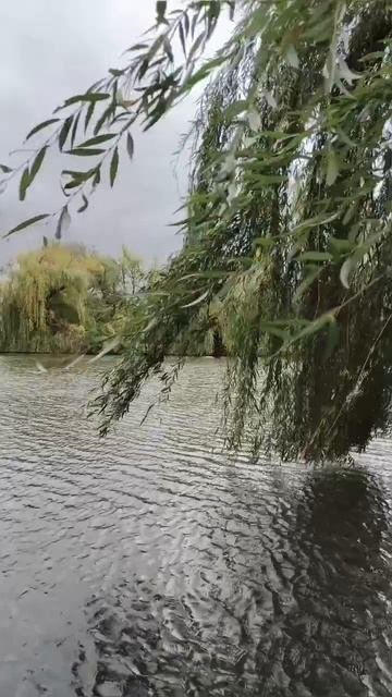 30.09.2025 #сегоднятак #природа #прырода #табиғ #自然 #natureza #natura #자연 #طبيعة #प्रकृति #nature