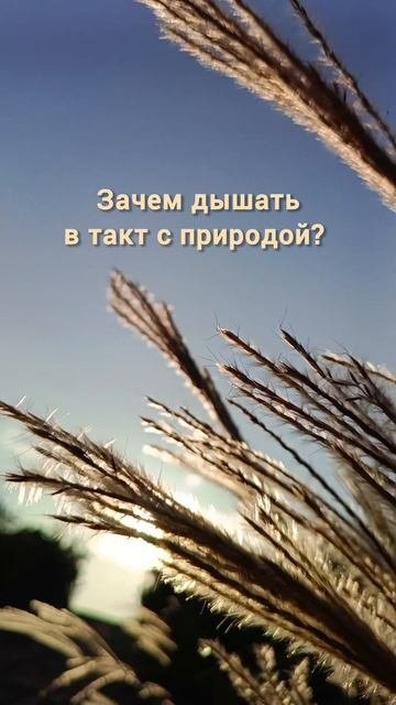 Зачем дышать в такт с природой?