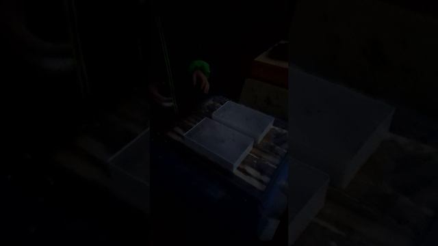 Закорм пчёл на зиму