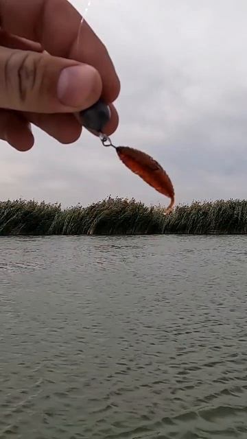 Уже скоро шикарные приманки Fishmir будут в продаже!!!