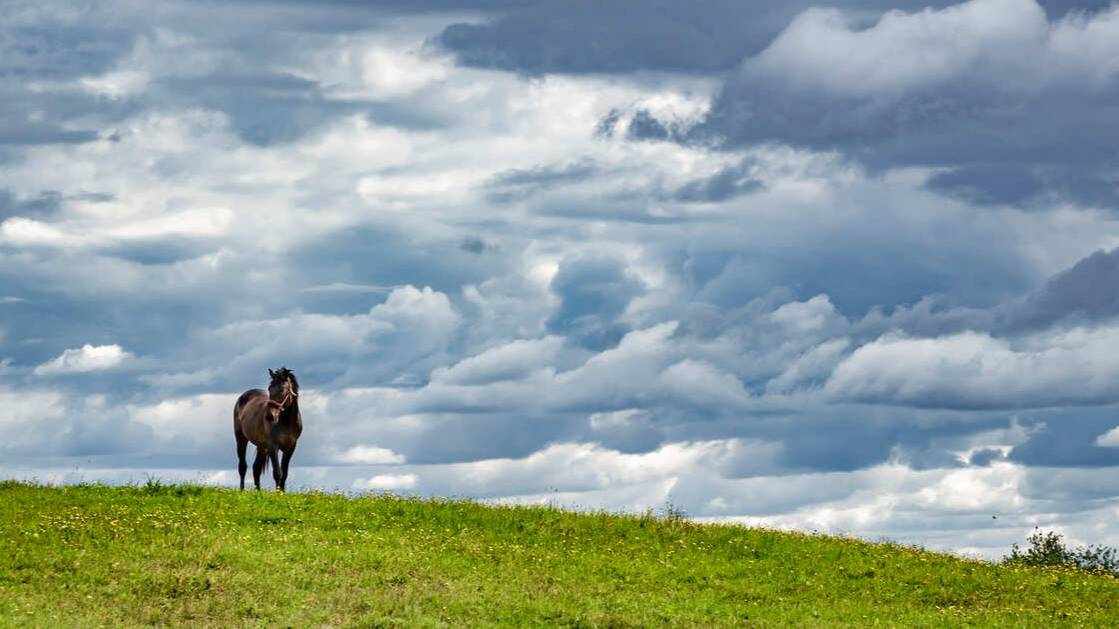 Умершая на 2,5 минуты девушка сравнила загробный мир с пастбищем