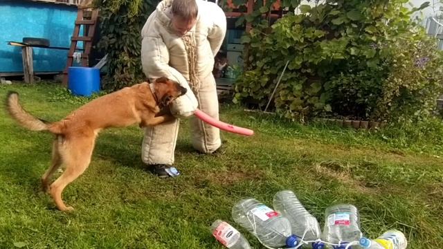 Гирлянды из бутылок в защите.