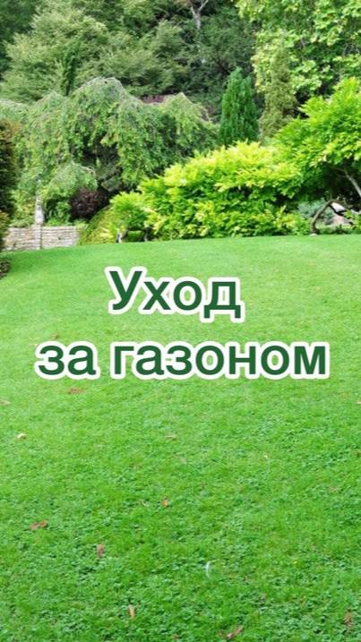 Уход за газоном #shorts