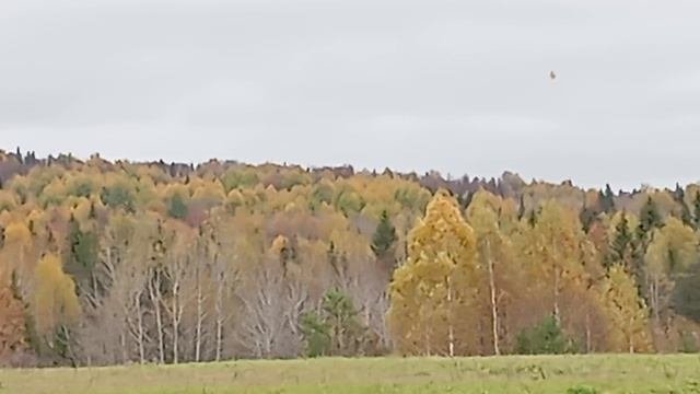 покопал в заброшенной деревне+11