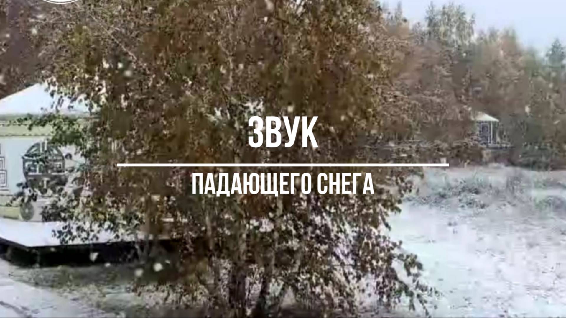 Звук падающего снега